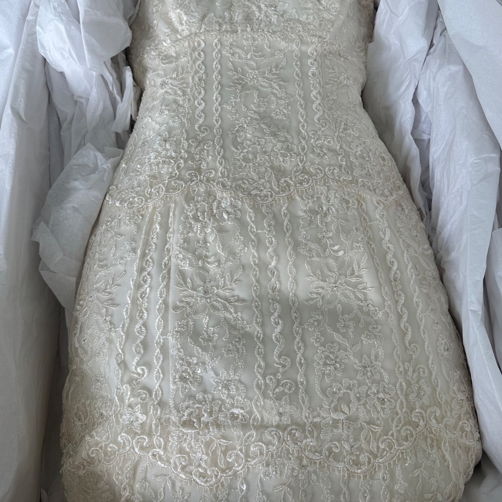 Pronovias Wedding Gown and Veil —Museum quality sealed - Picture 5 of 9